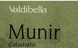 Valdibella Munir