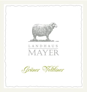 Mayer GV
